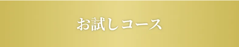 お試しコース